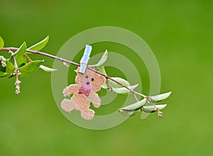 Cute romantic little teddy pegged on a branch in a field