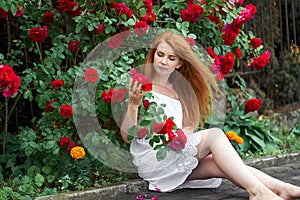 Cute romantic redhead girl with bare feet wearing in a white stylish dress sitting on background of blooming roses and holding a