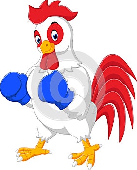 Cute rooster cartoon boxing