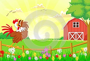 Cute rooster crowing in the farm fence