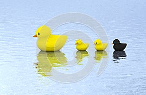 Cute rubber ducks born different