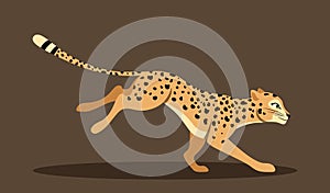 Cute running leopard