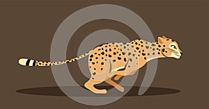 Cute running leopard