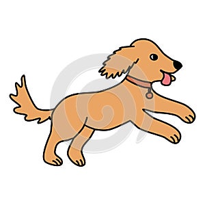 Cute running puppy dog, doodle style flat vector outline for coloring book