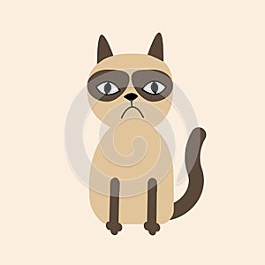 Cute sad grumpy siamese cat in flat design style.