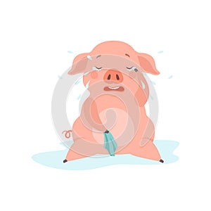 Cute sad little pig crying, funny piglet cartoon character vector Illustration on a white background