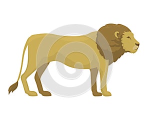 Cute safari lion cartoon vector illustration.