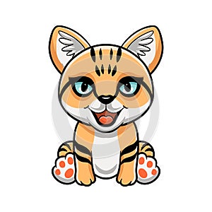 Cute sand cat cartoon sitting