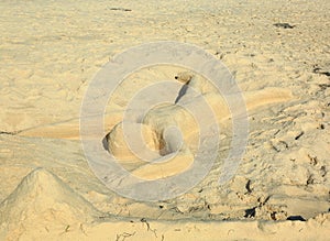 Cute sand sculpture representing a human laying on the beach with face down. Aruba island. Caribbean.