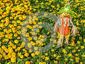 Cute scarecrow in colorful flower garden. Nature background