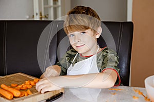 Cute school kid boy cutting fresh carrots preparing salad or snack box for school. Happy healthy child in domestic