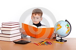 Cute schoolboy is reading a book