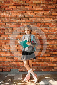 Cute schoolgirl with schoolbag reading a textbook