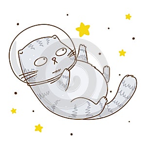 Cute scottishfold cat astronaut