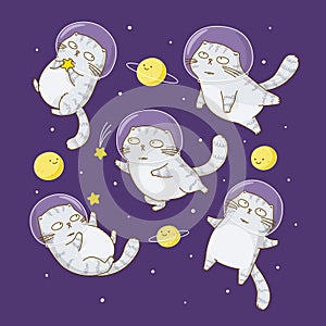 Cute scottishfold cats astronauts