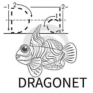 Cute Sea Animal Alphabet Series. D is for dragonet. Vector cartoon character design illustration