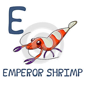 Cute Sea Animal Alphabet Series. E is for emperor shrimp.