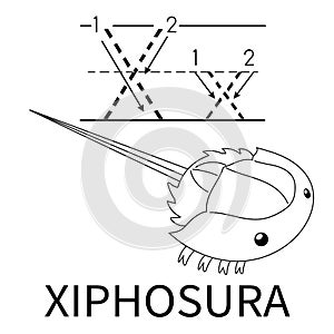 Cute Sea Animal Alphabet Series. X is for Xiphosura. Vector cartoon character design illustration