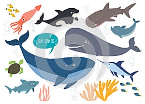 Cute sea animals set. Underwater animal creatures. Squid, orca, whale, shark, dolphin, swordfish and ocean turtle