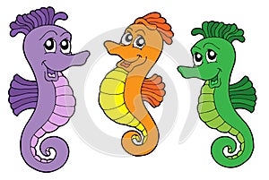 Cute sea horses vector illustration