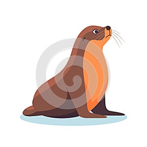 Cute sea lion isolate don white background. Cute seal cartoon animal.