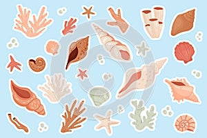 Cute sea shells sticker set, beach or underwater tropical marine animals collection