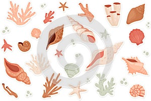 Cute sea shells sticker set, beach or underwater tropical marine animals collection