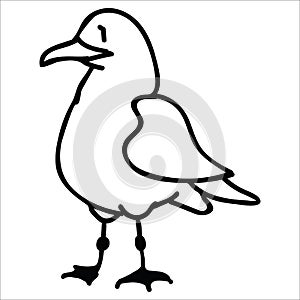 Cute seagull from the front monochrome lineart cartoon vector illustration motif set. Hand drawn isolated seaside