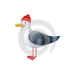 Cute seagull in red hat-watercolor illustration isolated on white backdrop