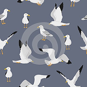 Cute seagulls pattern. Seamless marine vector illustration with flying birds