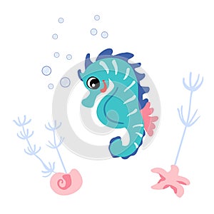 Cute seahorse, shell and starfish underwater. Vector illustration of marine life