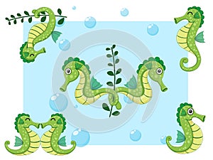 Cute Seahorses Cartoon Characters Set. Vector illustration With Cartoon Happy Animal