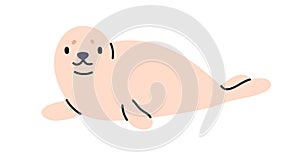 Cute seal, adorable sea calf, dog lying relaxed. Funny aquatic, north water animal. Happy charming baby character