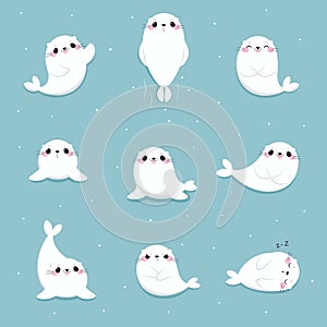 Cute Seal with White Fur Swimming, Sleeping and Smiling on Blue Background Vector Set