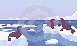 cute seals background. cartoon funny animal characters, seals lying on the on an icy iceberg, antarctica north animals