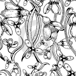 Cute seamless pattern with flowers snowdrops. Hand drawn vector.