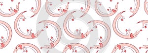 Cute seamless pattern with long dogs dachshunds