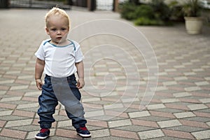 Cute serious toddler posing in blue jeans and white t-shirt and looking ahead. Copy space