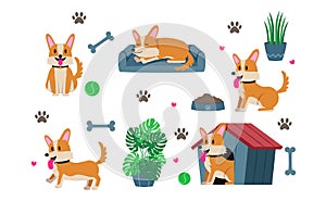 Cute set of cartoon animals Corgi dog puppy activity stickers flat illustration with ball, bone, footprint