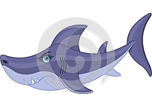 Cute Shark