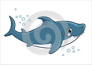 Cute shark is smiling on a white background. Vector illustration