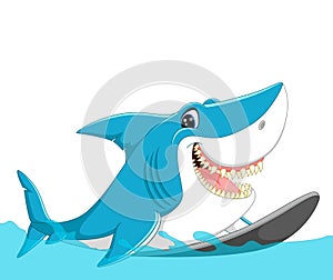 Cute shark surfing cartoon