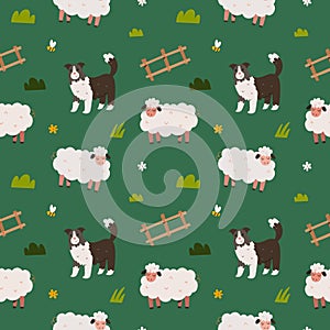 Cute sheep and border collie dog walking in the meadow, seamless pattern, cute cartoon illustration with domestic farm