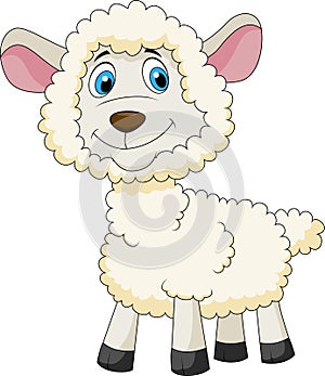 Cute sheep cartoon