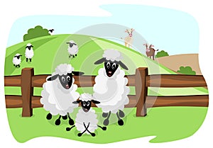 Cute sheep family on pasture