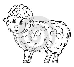 Cute sheep, little woolly lamb ram farm animal character line icon. Domestic livestock ewe. Kid coloring book page outline vector
