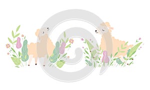 Cute Sheep in Meadow Flowers Set, Adorable Little Fluffy Lamb Farm Animal Playing on Nature Cartoon Vector Illustration