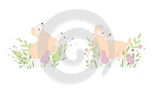 Cute Sheep Playing and Sleeping in Flowers Set, Adorable Little Fluffy Lamb Farm Animal in Pastel Colors Cartoon Vector