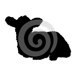 Cute sheep silhouette. Black silhouette of the lamb hand drawn vector isolated image