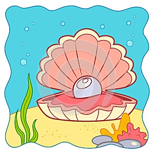 Cute Shell underwater cartoon. Shell clipart